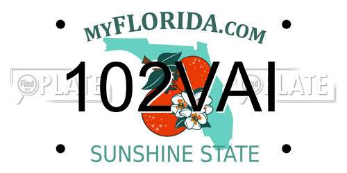 102VAI Florida License Plate