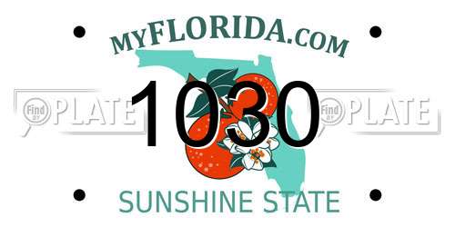 1030 Florida License Plate