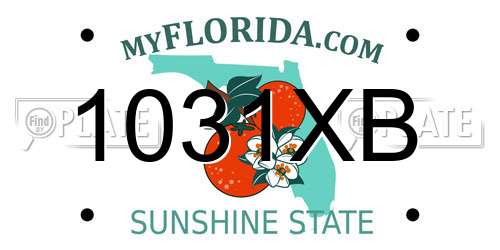 1031XB Florida License Plate