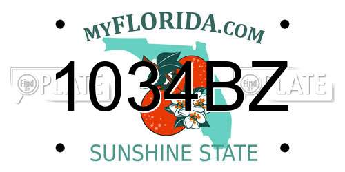 1034BZ Florida License Plate