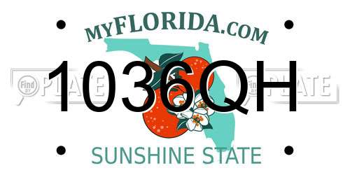 1036QH Florida License Plate