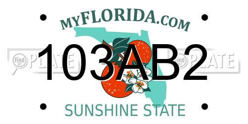 103AB2 Florida License Plate