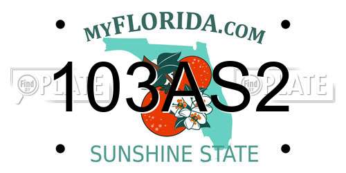103AS2 Florida License Plate