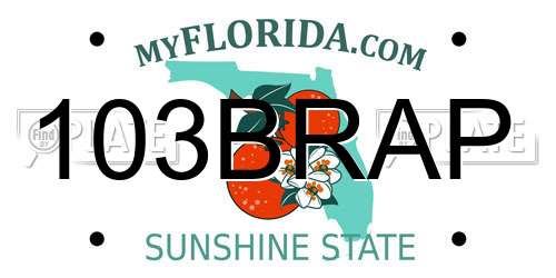 103BRAP Florida License Plate