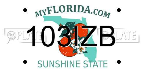 103IZB Florida License Plate
