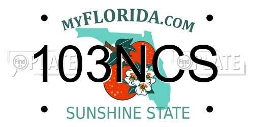 103NCS Florida License Plate