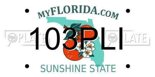 103PLI Florida License Plate