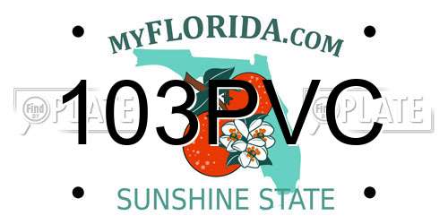 103PVC Florida License Plate