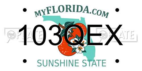 103QEX Florida License Plate