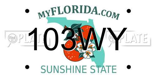 103WY Florida License Plate
