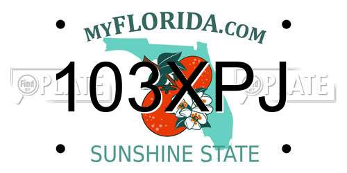 103XPJ Florida License Plate