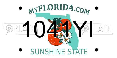 1041YI Florida License Plate