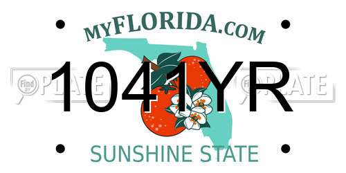 1041YR Florida License Plate