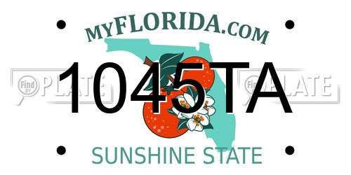 1045TA Florida License Plate