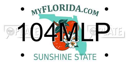104MLP Florida License Plate