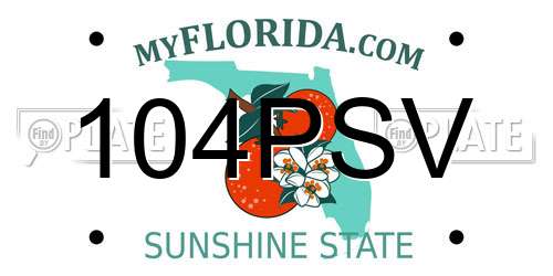 104PSV Florida License Plate