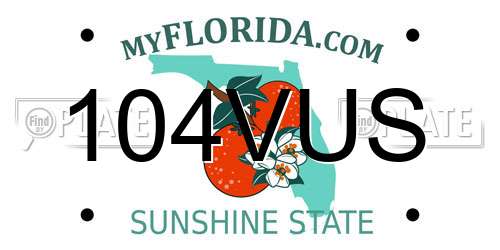 104VUS Florida License Plate