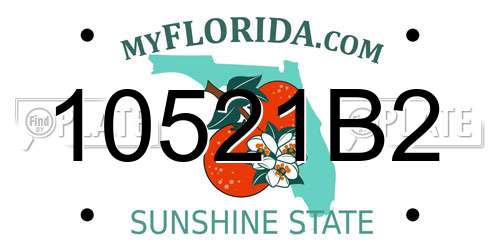 10521B2 Florida License Plate
