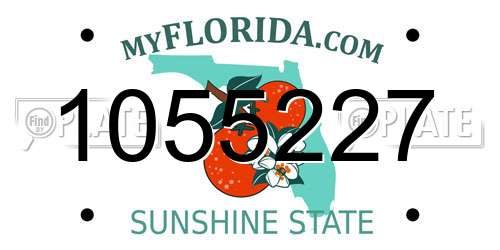 1055227 Florida License Plate