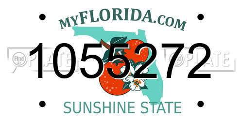 1055272 Florida License Plate