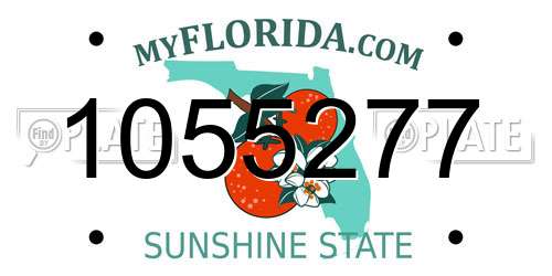 1055277 Florida License Plate
