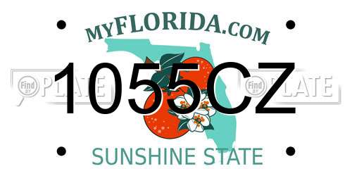 1055CZ Florida License Plate