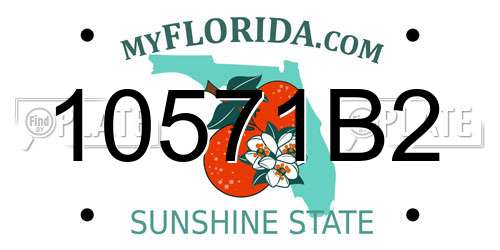 10571B2 Florida License Plate