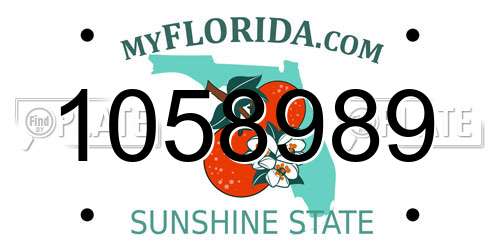1058989 Florida License Plate
