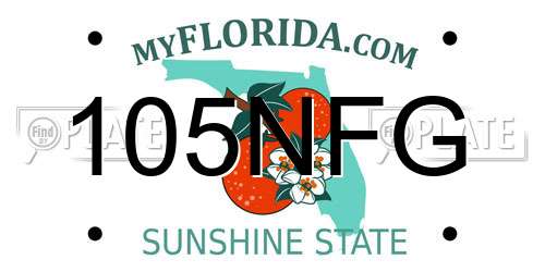 105NFG Florida License Plate
