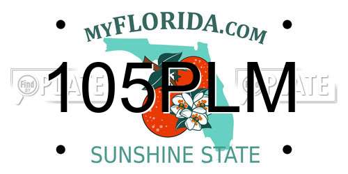 105PLM Florida License Plate