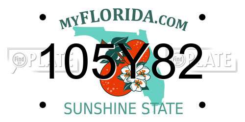 105Y82 Florida License Plate