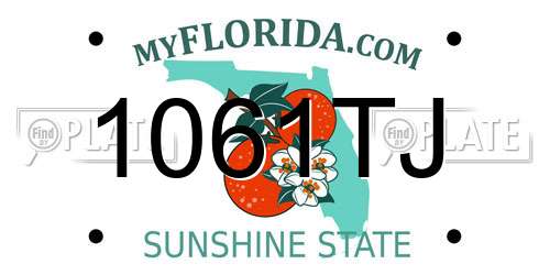 1061TJ Florida License Plate