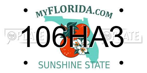 106HA3 Florida License Plate