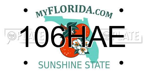 106HAE Florida License Plate