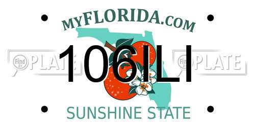 106ILI Florida License Plate