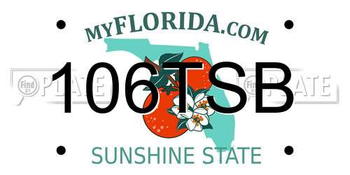 106TSB Florida License Plate