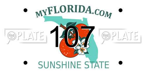 107 Florida License Plate