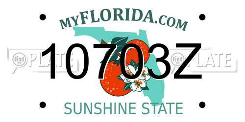 10703Z Florida License Plate
