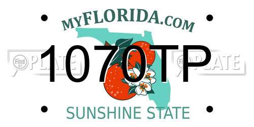 1070TP Florida License Plate