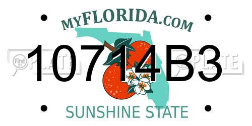 10714B3 Florida License Plate