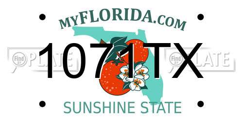 1071TX Florida License Plate