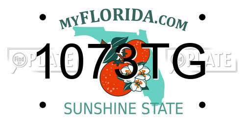 1073TG Florida License Plate