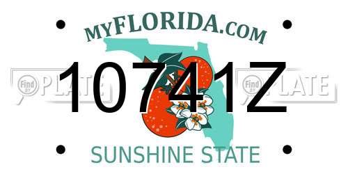 10741Z Florida License Plate