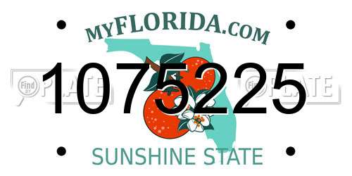 1075225 Florida License Plate