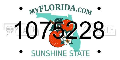 1075228 Florida License Plate