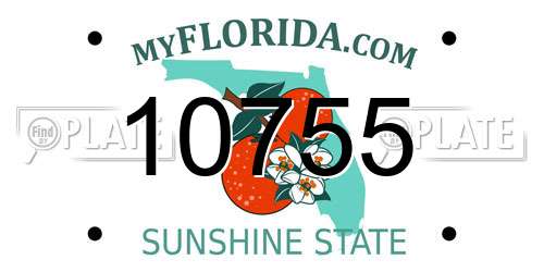 10755 Florida License Plate