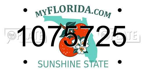 1075725 Florida License Plate