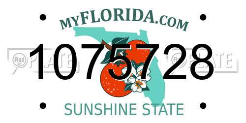 1075728 Florida License Plate