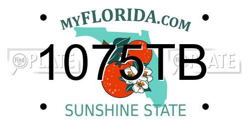 1075TB Florida License Plate