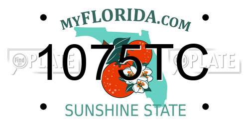 1075TC Florida License Plate